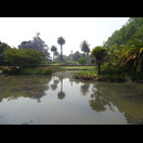 In einem der vielen Parks von Melbourne